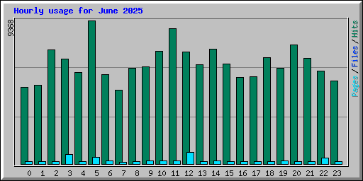 Hourly usage for June 2025