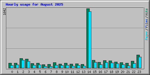 Hourly usage for August 2025