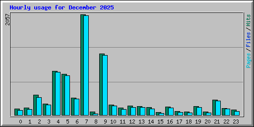 Hourly usage for December 2025