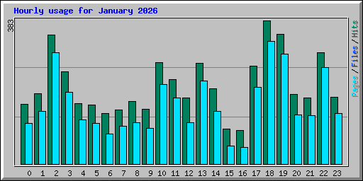 Hourly usage for January 2026